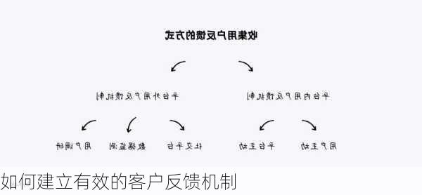 如何建立有效的客户反馈机制