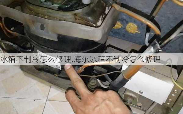 冰箱不制冷怎么修理,海尔冰箱不制冷怎么修理