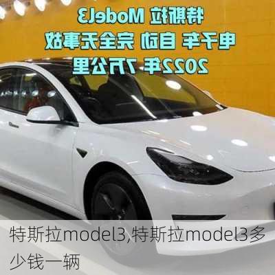 特斯拉model3,特斯拉model3多少钱一辆