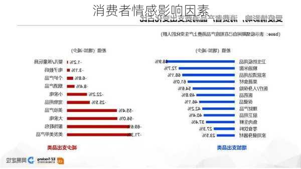 消费者情感影响因素