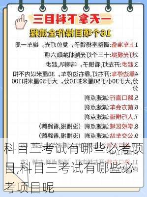 科目三考试有哪些必考项目,科目三考试有哪些必考项目呢