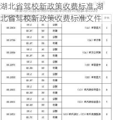 湖北省驾校新政策收费标准,湖北省驾校新政策收费标准文件