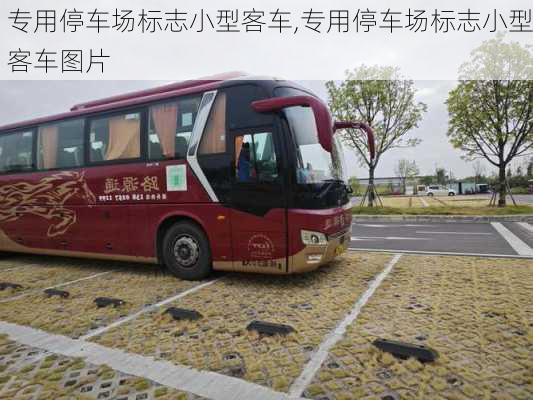 专用停车场标志小型客车,专用停车场标志小型客车图片