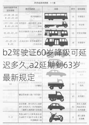 b2驾驶证60岁降级可延迟多久,a2延期到63岁最新规定