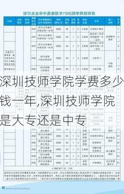 深圳技师学院学费多少钱一年,深圳技师学院是大专还是中专