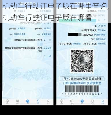 机动车行驶证电子版在哪里查询,机动车行驶证电子版在哪看