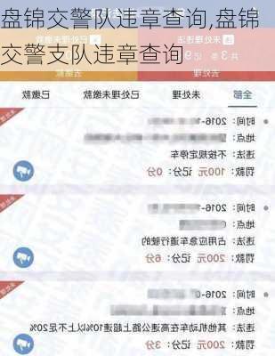 盘锦交警队违章查询,盘锦交警支队违章查询