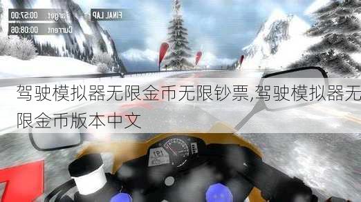 驾驶模拟器无限金币无限钞票,驾驶模拟器无限金币版本中文