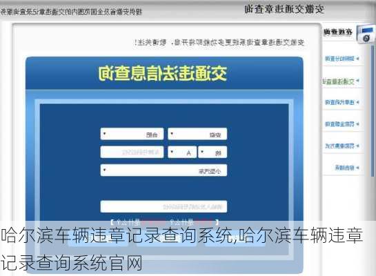 哈尔滨车辆违章记录查询系统,哈尔滨车辆违章记录查询系统官网