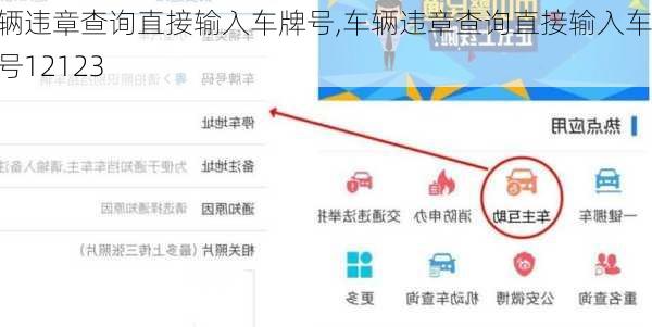 车辆违章查询直接输入车牌号,车辆违章查询直接输入车牌号12123