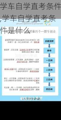 学车自学直考条件,学车自学直考条件是什么