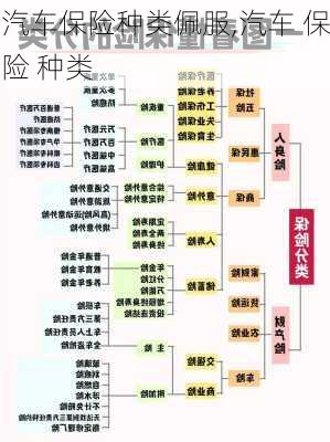 汽车保险种类佩服,汽车 保险 种类